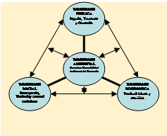 Diagrama radial